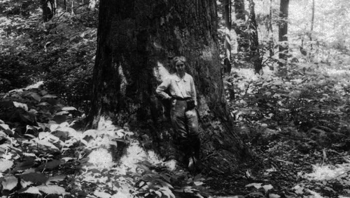 dr. e. lucy braun historic photo of dr. e. lucy braun