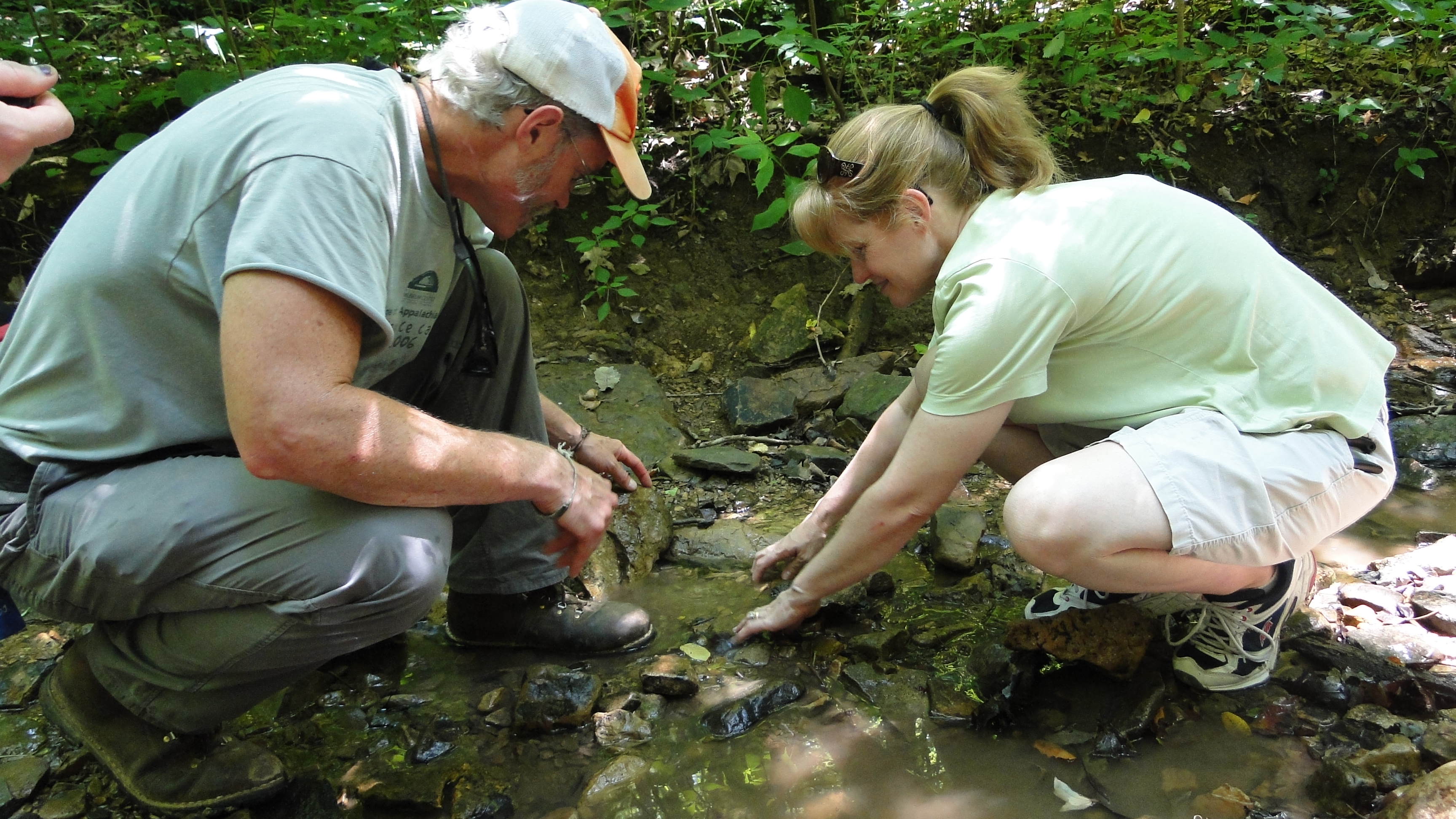 educator workshops photo from the Richard & Lucile Durrell Edge of Appalachia Preserve System
