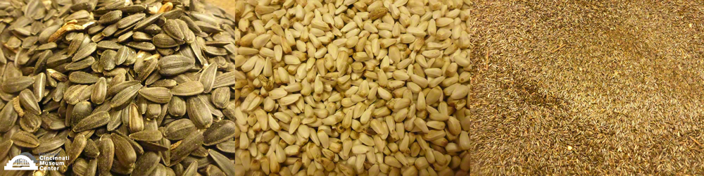 Different seed mixes