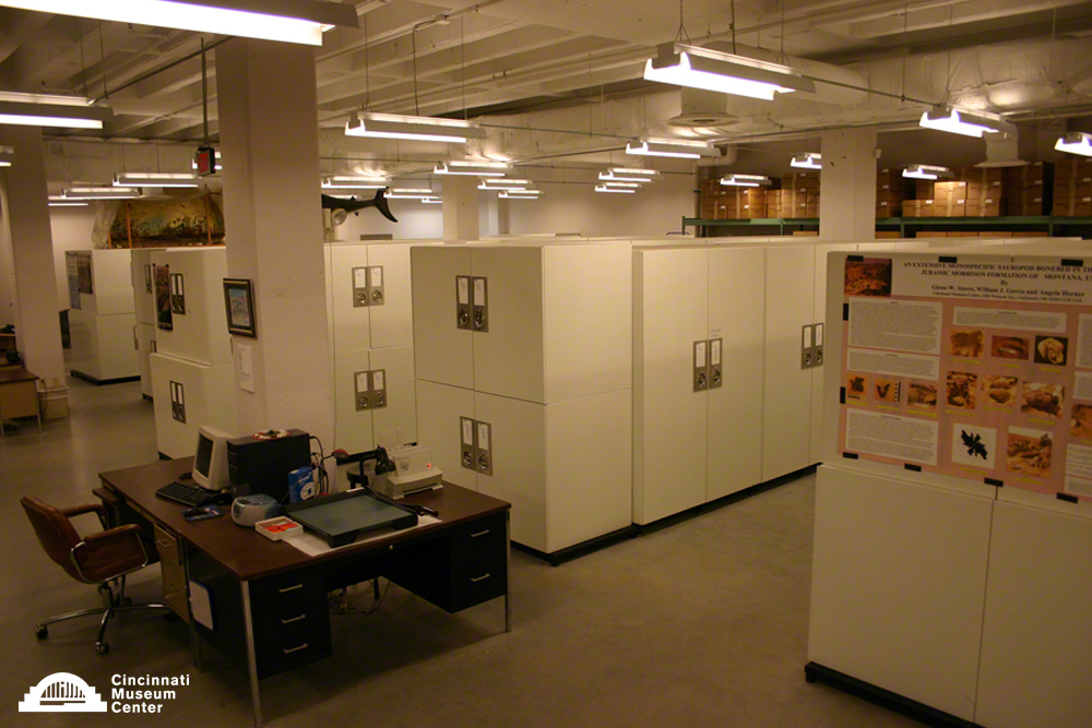 The Invertebrate Paleontology Collection at Cincinnati Museum Center