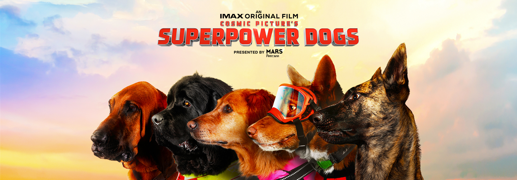 Promotional image from the omnimax film superpower dogs