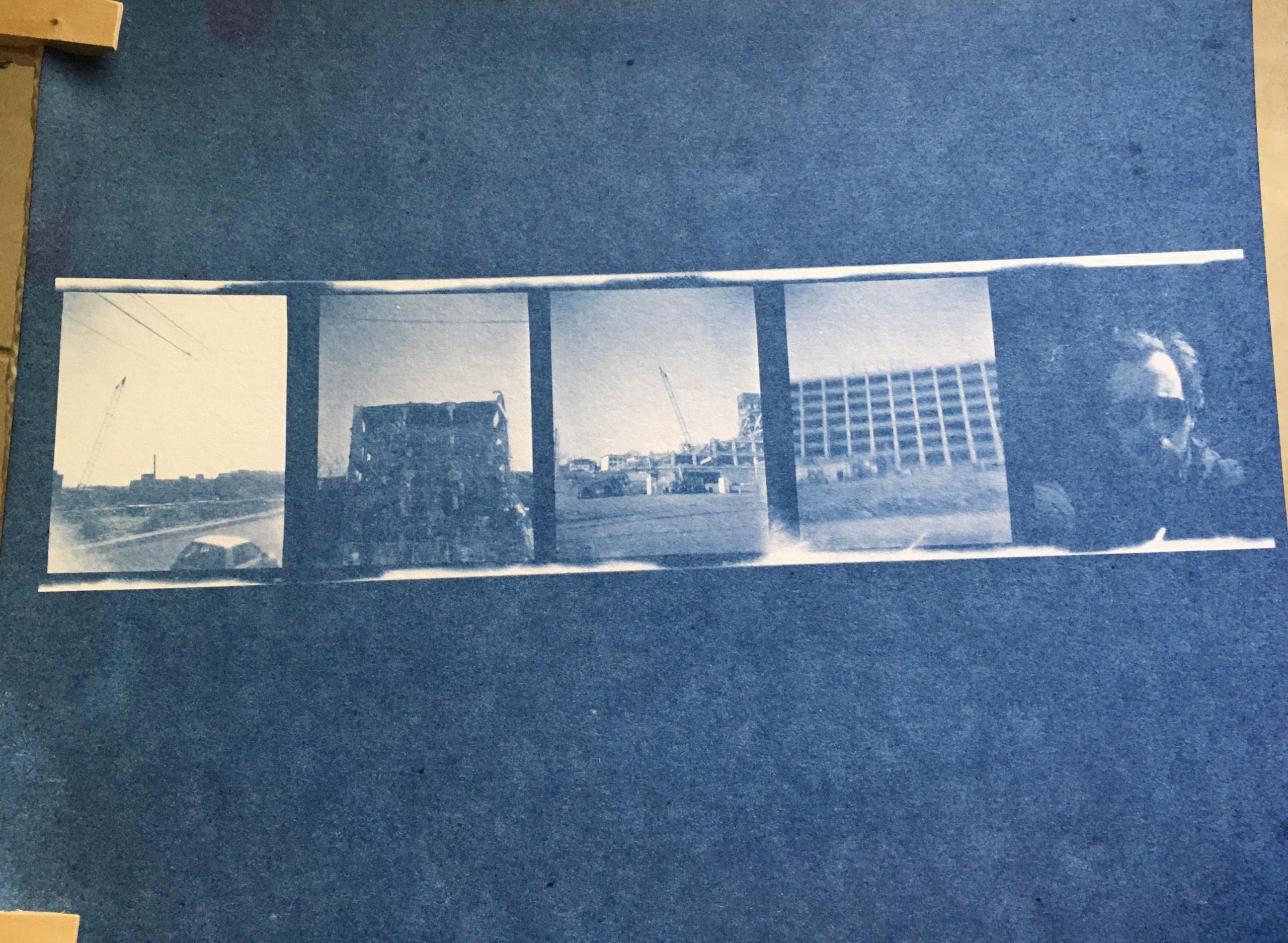 Early Photography – Cyanotypes