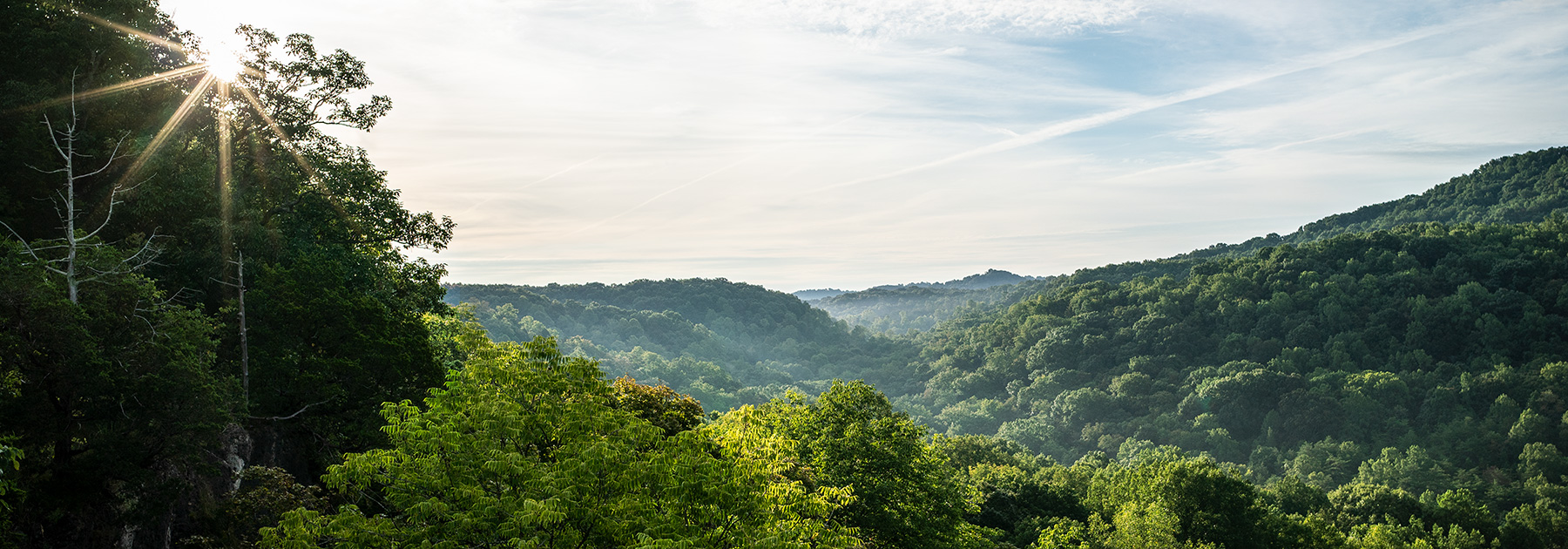 A Year on the Edge photo from the Edge of Appalachia Preserve System
