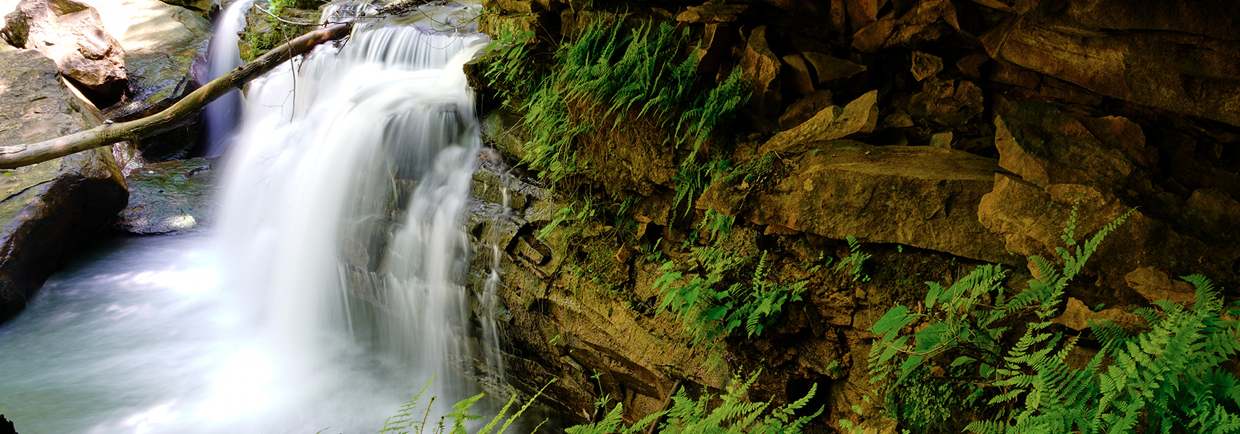 photo from the Edge of Appalachia Preserve System