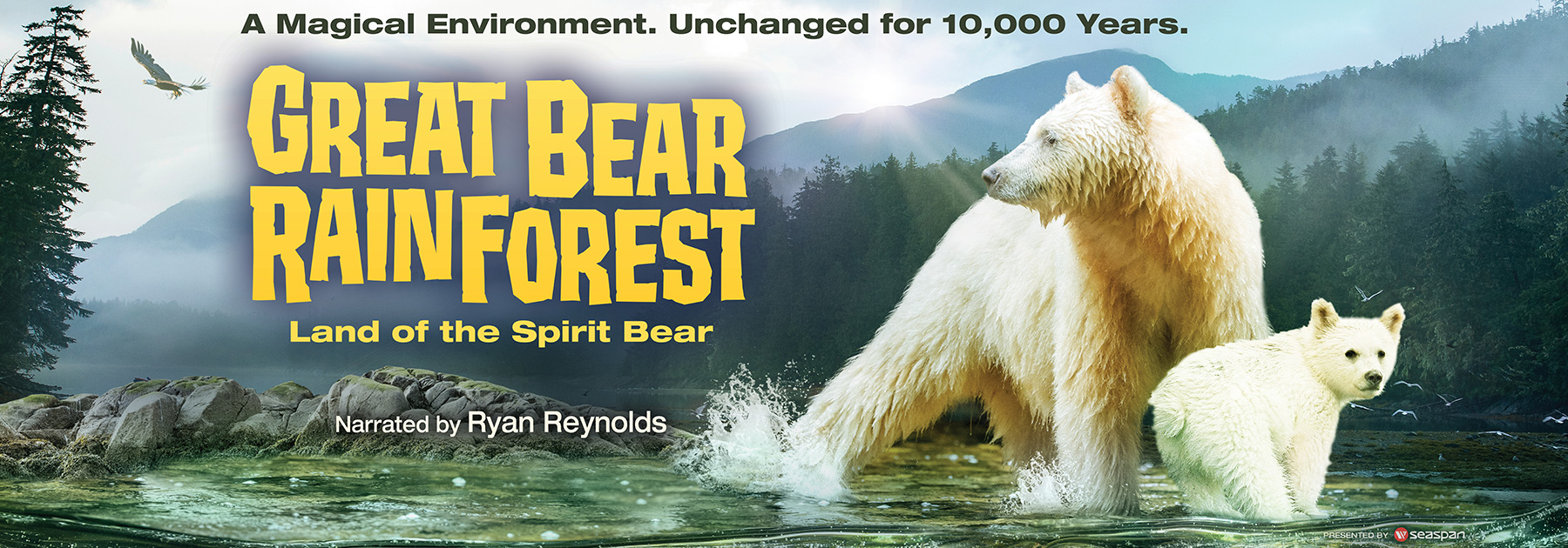 Great Bear Rainforest – Land of the spirit bear