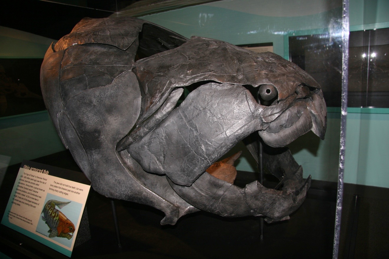 The Fossil Fish That Could - Cincinnati Museum Center