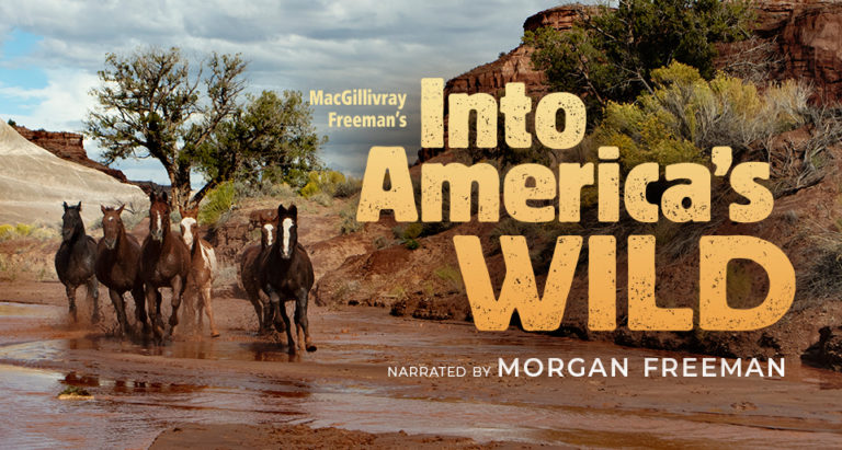 Explore America's wild spaces in upcoming OMNIMAX film Into America's ...