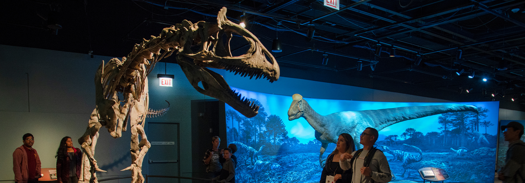 Miami University gallery talks photo of the In the Audubon tradition exhibit