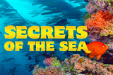 Secrets-of-the-Sea-160×107 Thumbnail