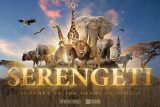 Serengeti: Journey to the Heart of Africa. Image thumbnail featuring various wildlife found in the African plains at sunset.