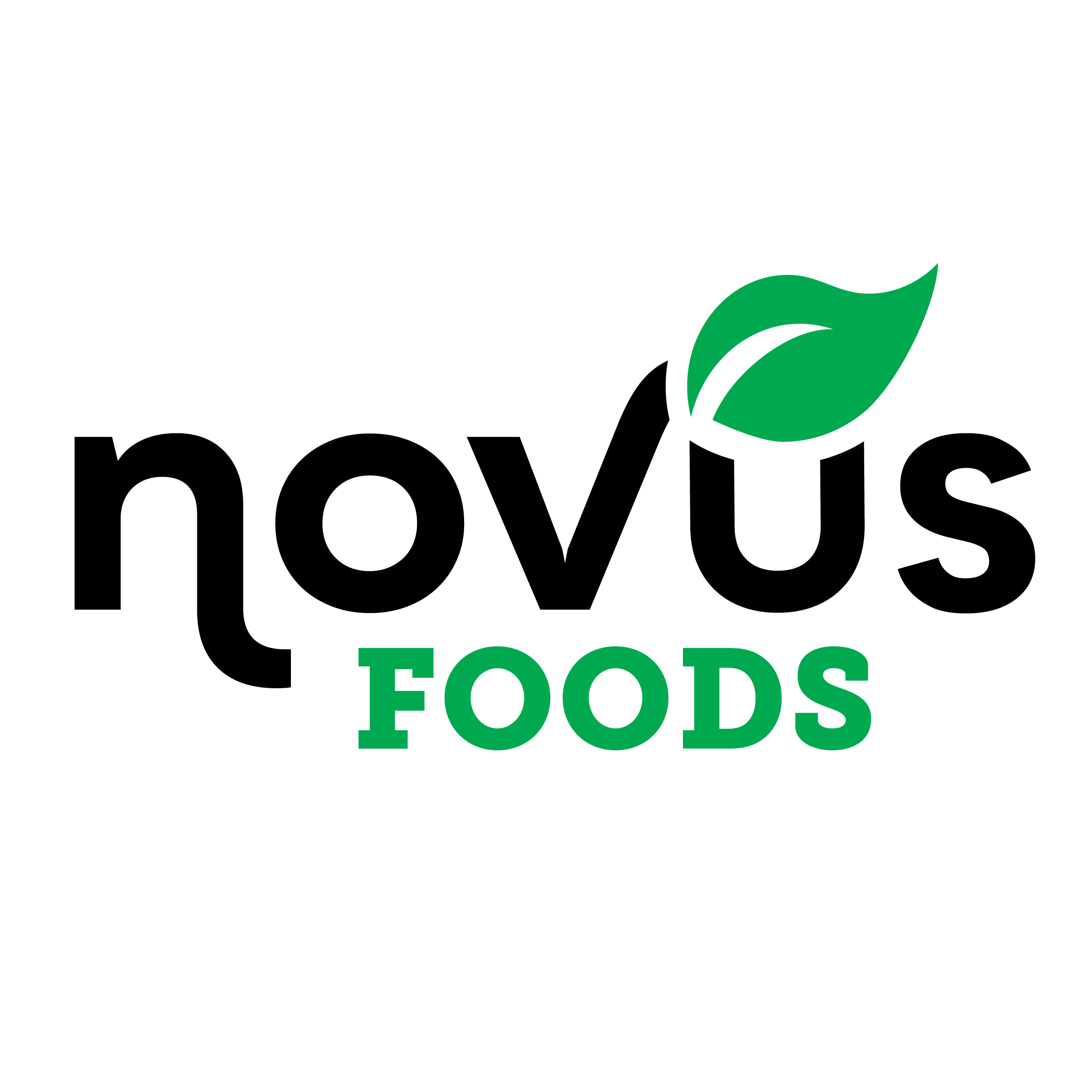 Novus_Logo_1200x1200_V1-LR