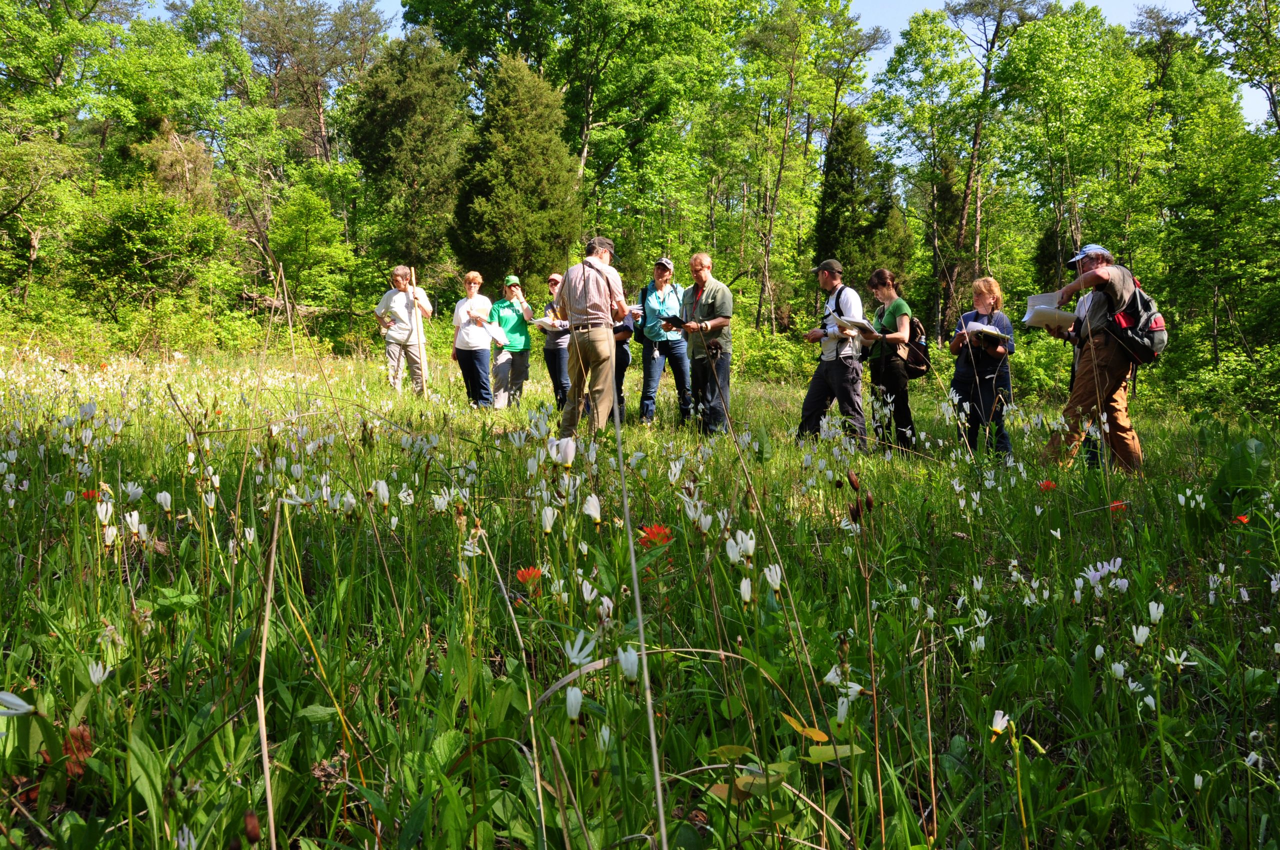 photo from the Richard & Lucile Durrell Edge of Appalachia Preserve System