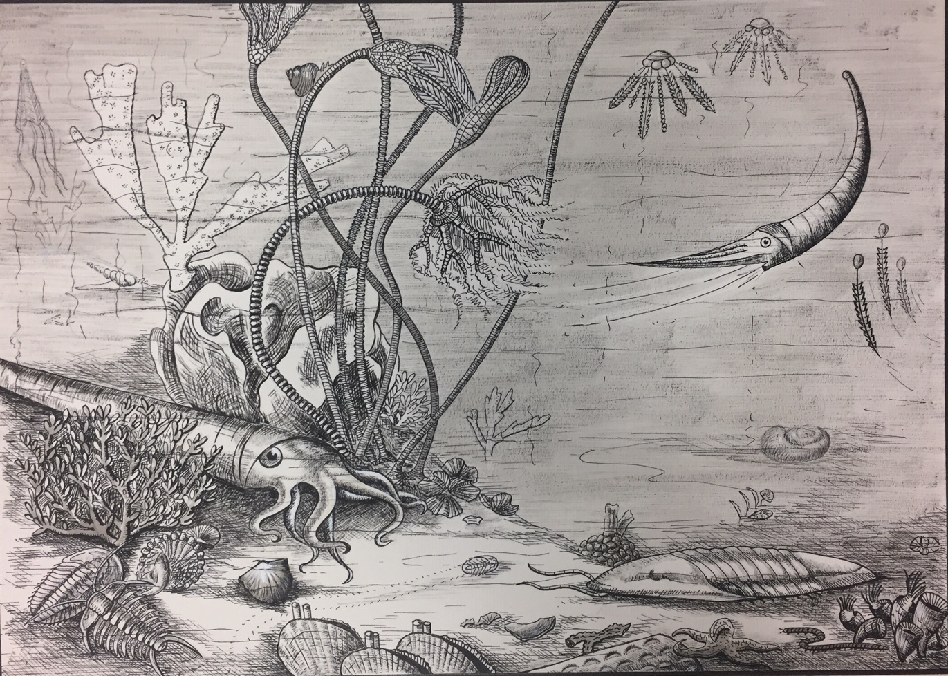 The Role of Women in 20th Century Academic Departments: Meet Elizabeth Dalve from the University of Cincinnati